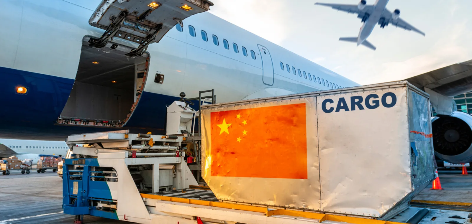 IATA Introductory Aircargo Management