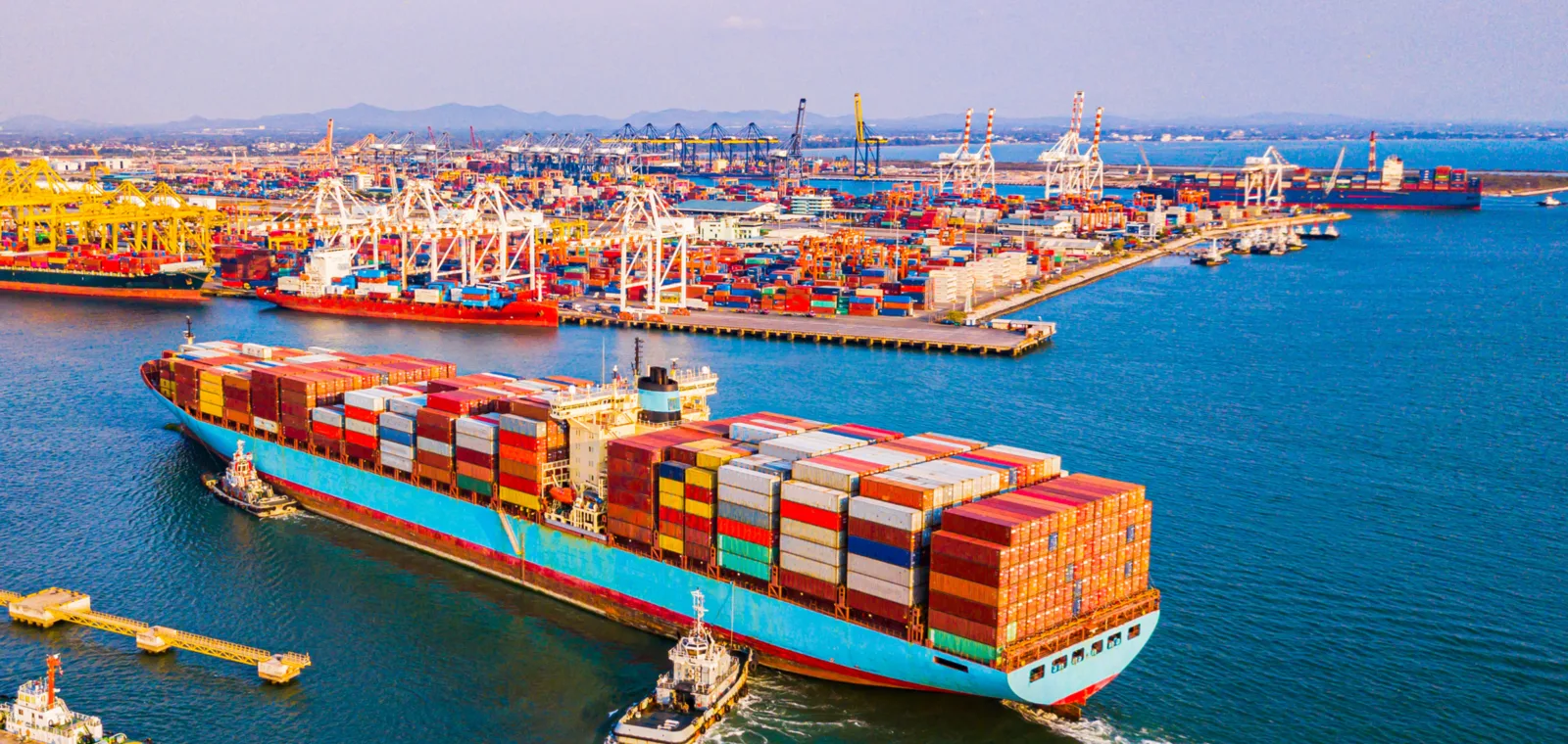 International trade management export import IMC