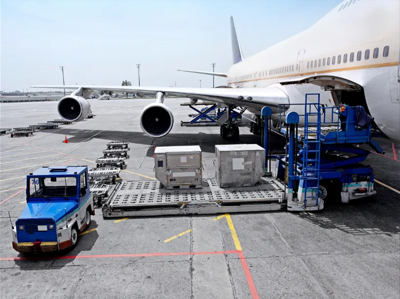 Import-export and business training